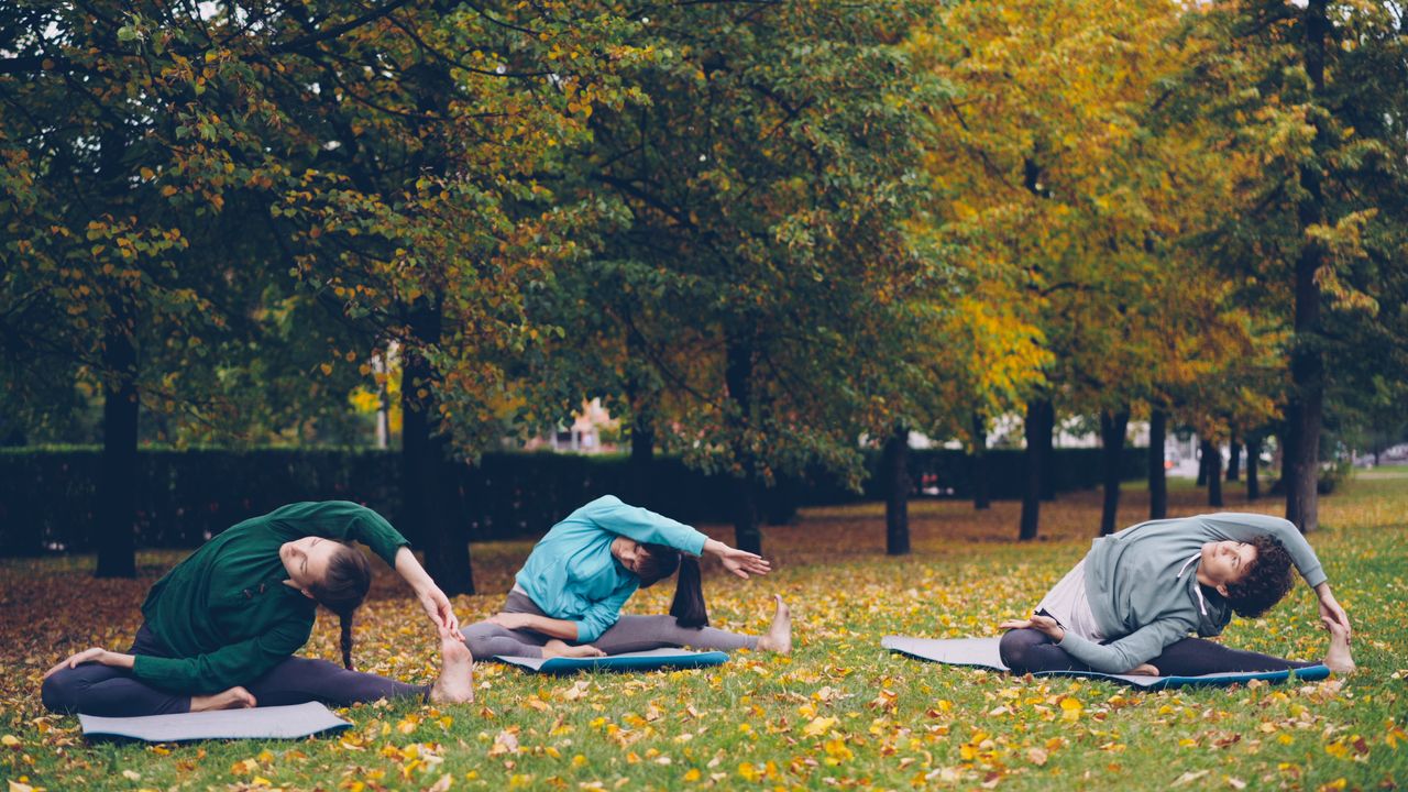 About Three people practicing yoga in a park during fall surrounded by trees.